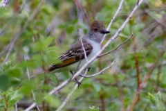 IMG_5598-Edit_cc IMG_5598-Edit_cc