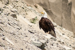 IMG_4880-Edit_cc IMG_4880-Edit_cc