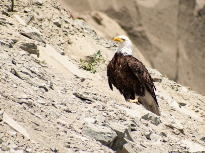 IMG_4880-Edit_cc IMG_4880-Edit_cc