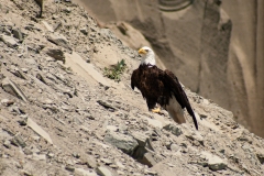 IMG_4885-Edit_cc IMG_4885-Edit_cc
