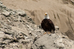 IMG_4891-Edit_cc IMG_4891-Edit_cc
