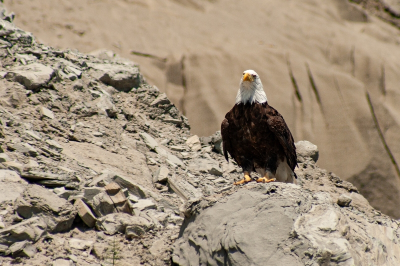 IMG_4891-Edit_cc