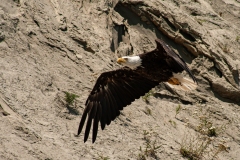 IMG_4896-Edit_cc IMG_4896-Edit_cc