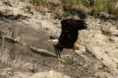 IMG_4897-Edit_cc IMG_4897-Edit_cc