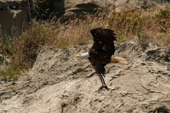 IMG_4898-Edit_cc IMG_4898-Edit_cc
