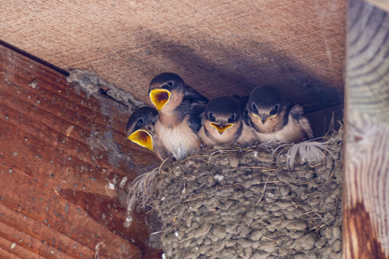 IMG_7904-Enhanced-NR-Edit