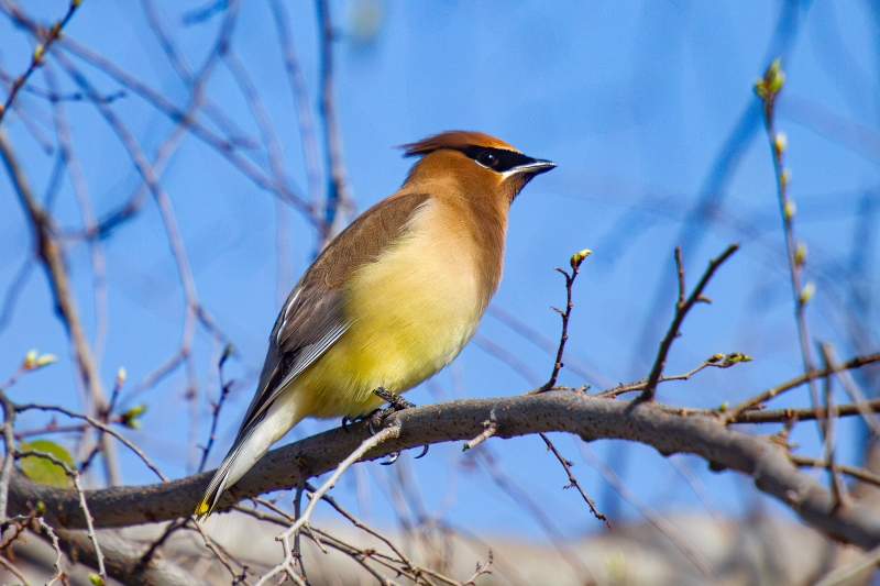 IMG_4232-Enhanced-NR-Edit