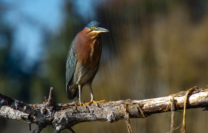 IMG_3551-Enhanced-NR-Edit