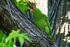 IMG_0624-Edit_cc IMG_0624-Edit_cc