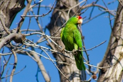 IMG_0710-Edit_cc IMG_0710-Edit_cc