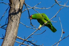 IMG_0730-Edit_cc IMG_0730-Edit_cc