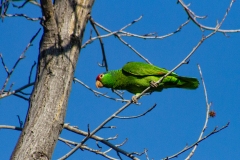 IMG_0733-Edit_cc IMG_0733-Edit_cc