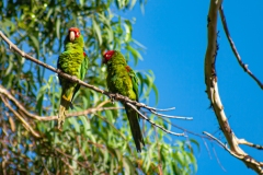 IMG_1434_cc IMG_1434_cc