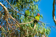 IMG_1440_cc IMG_1440_cc