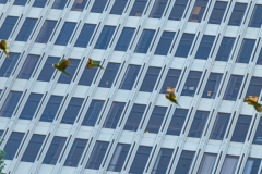 IMG_1452_cc IMG_1452_cc