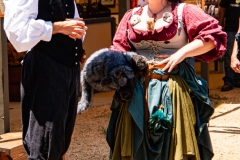 IMG_3309_cc IMG_3309_cc