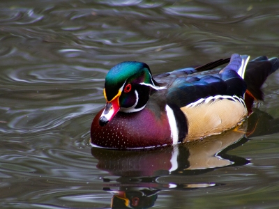 IMG_3348-Edit_cc IMG_3348-Edit_cc